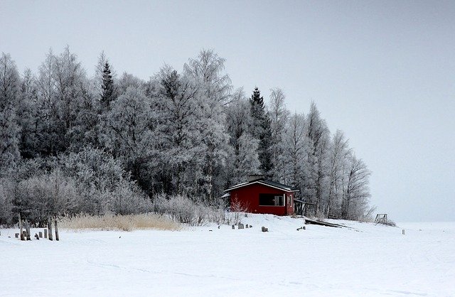 dom w lesie - Finlandia